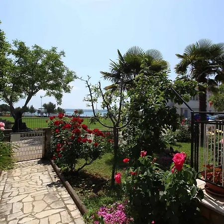 Apartman In Novigrad - Istrien 34737 *